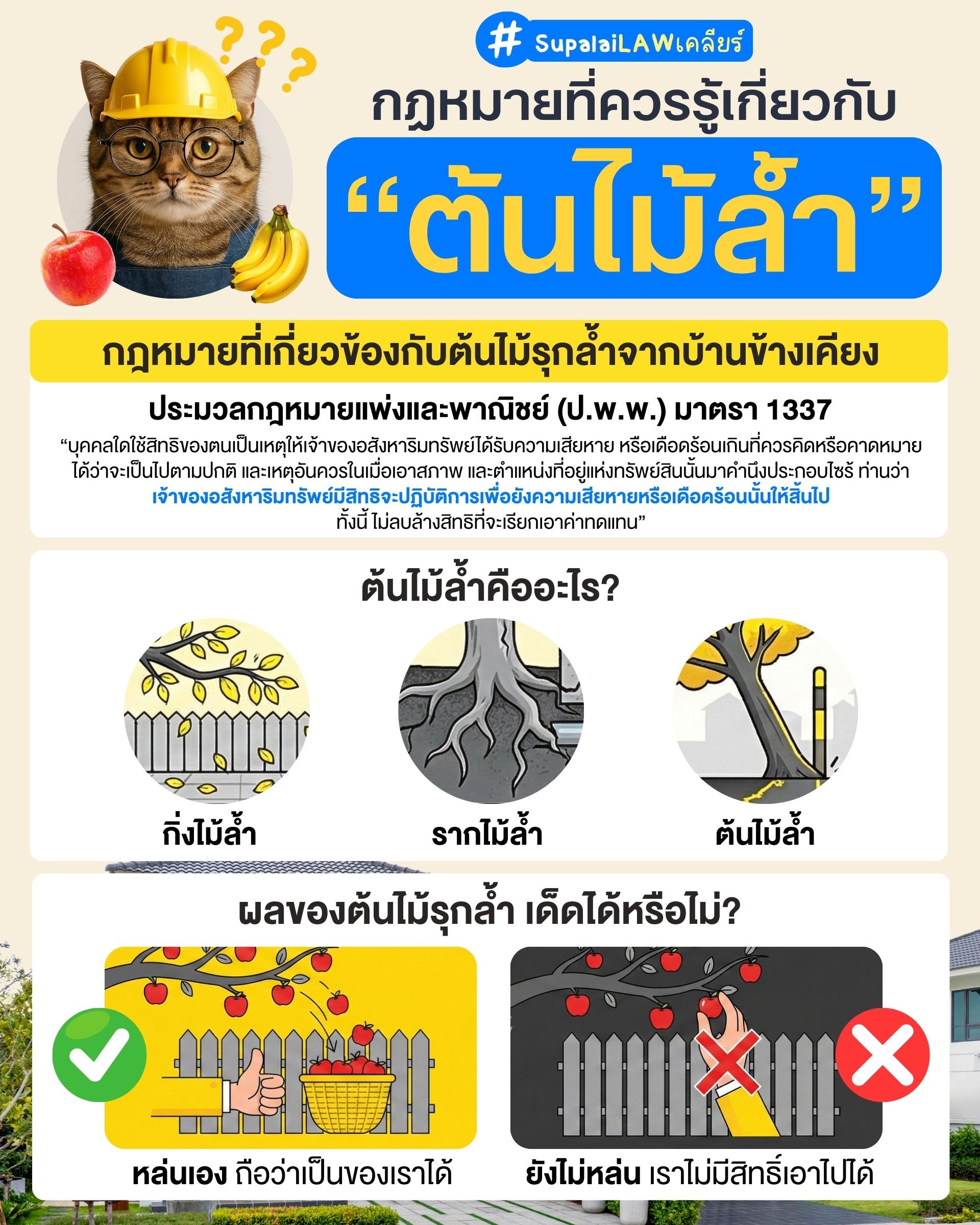 กฎหมายเกี่ยวกับต้นไม้ล้ำที่ควรรู้  ต้นไม้เพื่อนบ้านรุกล้ำ เราจะทำได้อย่างไรบ้าง-4-5.jpg